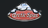 Arctic Spas Durham
